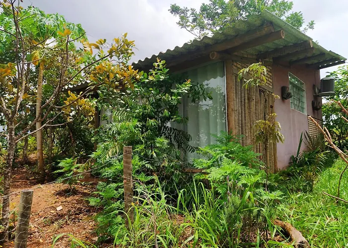 Chale Aconchegante, Pertinho Da Cidade E Conectada A Natureza