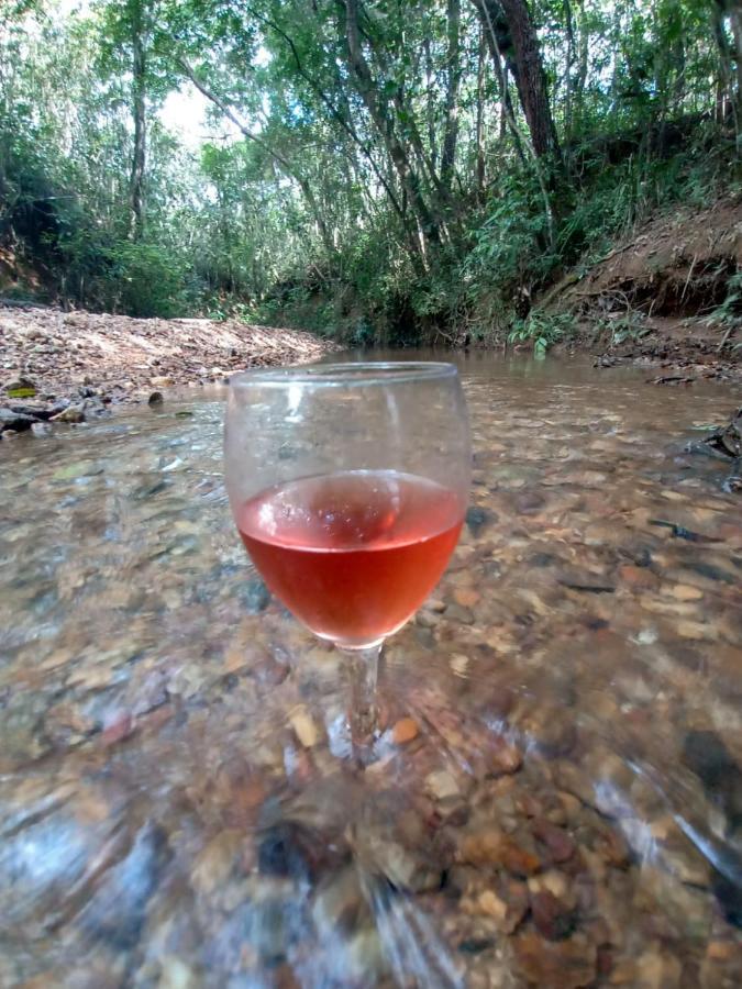 Chale Aconchegante, Pertinho Da E Conectada A Natureza Holiday home
