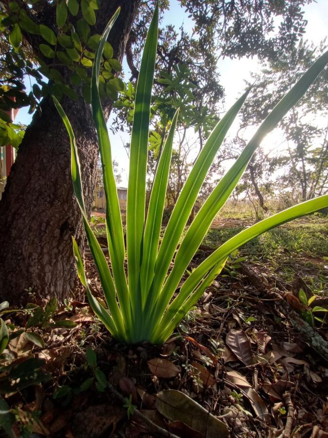 Chale Aconchegante, Pertinho Da E Conectada A Natureza Holiday home Brasilia