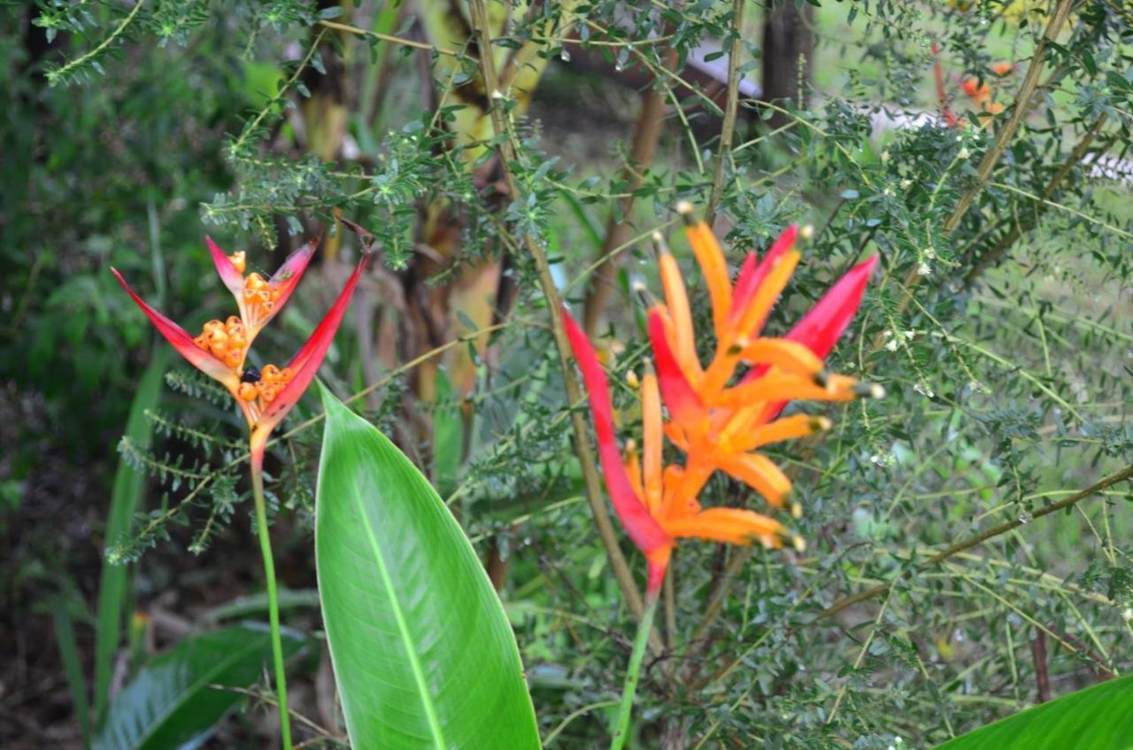 Chale Aconchegante, Pertinho Da E Conectada A Natureza