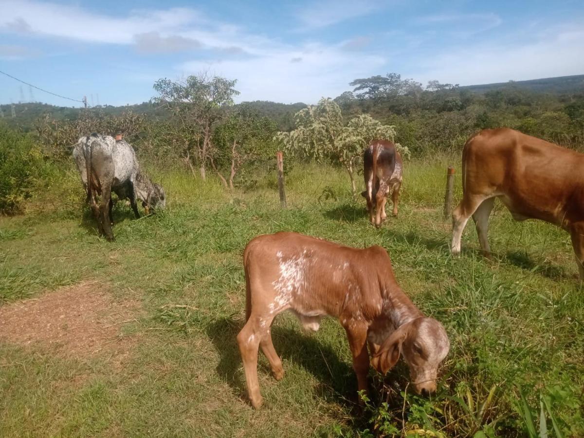 Holiday home Chale Aconchegante, Pertinho Da E Conectada A Natureza Brasilia